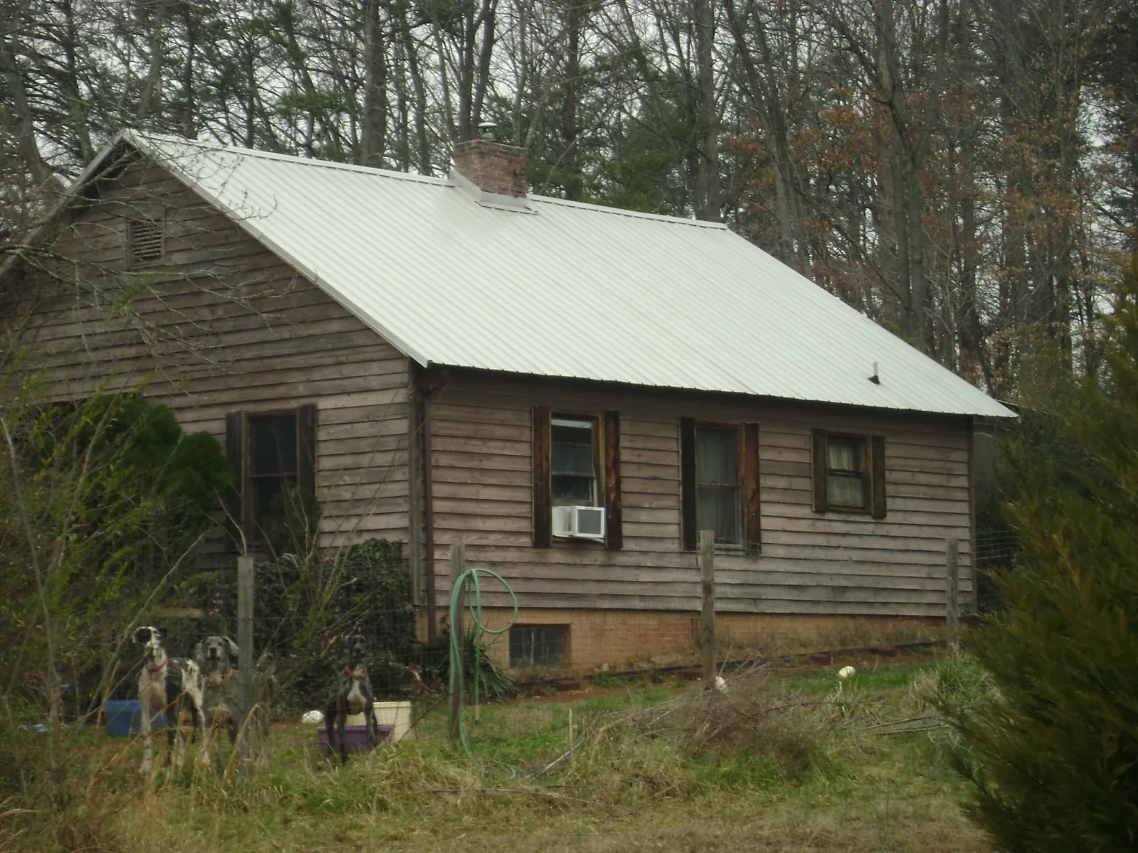 White metal roof on an old wood sided farmhouse, from a Asphalt Shingle Roof Repair job in Perham